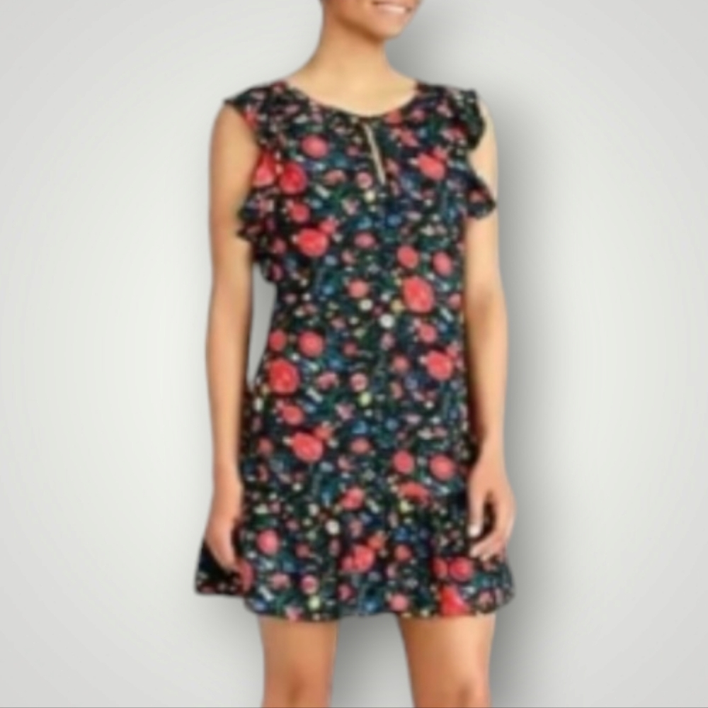 J. Crew Factory Floral Ruffle Dress - Black and Red